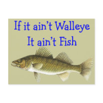 if it aint walleye aint fish post card