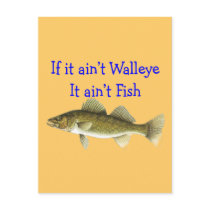 if it aint walleye aint fish postcard