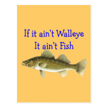 if it aint walleye aint fish postcard