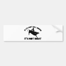 If it's not bull riding it's not right bumper sticker