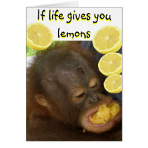 If Life Gives you Lemons Card