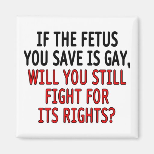 If the fetus you save is gay... fridge magnet