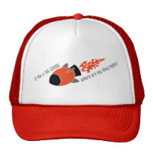 If This Is The Future, Where Are My Shiny Tights? Mesh Hat