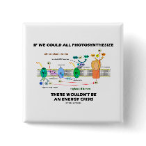 If We Could All Photosynthesize Wouldn't Be Energy