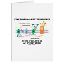 If We Could All Photosynthesize Wouldn't Be Energy
