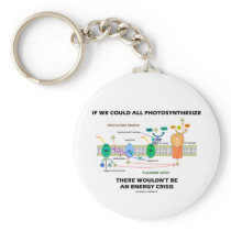 If We Could All Photosynthesize Wouldn't Be Energy
