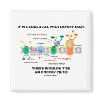If We Could All Photosynthesize Wouldn't Be Energy