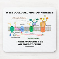 If We Could All Photosynthesize Wouldn't Be Energy