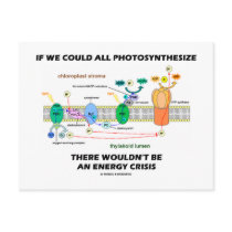 If We Could All Photosynthesize Wouldn't Be Energy
