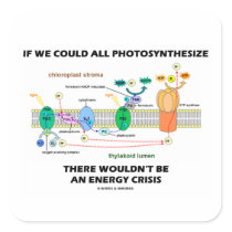 If We Could All Photosynthesize Wouldn't Be Energy