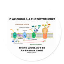 If We Could All Photosynthesize Wouldn't Be Energy