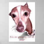 Iggy Pop posters