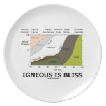 Igneous Is Bliss (Silica Content Igneous Rocks) Plate