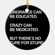 IGNORANCE CAN BE EDUCATED ORNAMENTS
