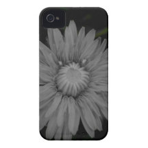 _IGP1948.JPG iPhone 4 Case-Mate CASES