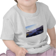 Iguacu Falls Brazil and Argentina Tees