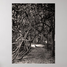 Iguana Go This Way Photo Poster Print