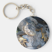 Iguana, Islas las Plazas, Galapagos Keychain