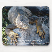 Iguana, Islas las Plazas, Galapagos Mousepad