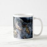 Iguana, Islas las Plazas, Galapagos Mug
