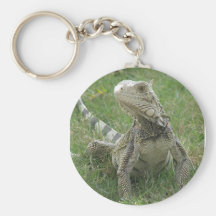 Iguana Keychain