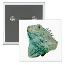 Iguana Lizard Buttons