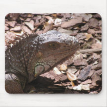 Iguana Mousepad