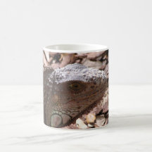 Iguana Mug