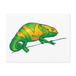 Iguana Postcard