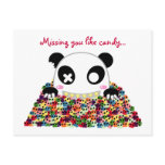 Ijimekko Panda "Missing You"