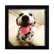 Il porte des bijoux Dalmatien Boîte À Babioles