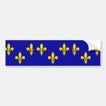 ile-De-France, France flag Bumper Stickers