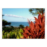 Île de Lanai, Hawaï Carte De Vœux