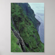 Île de St George, Pribilofs, bluffs élevés Affiches