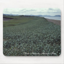 Île de St Paul, île de Pribilof d'habitat de dune  Tapis De Souris