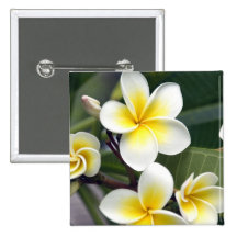 Îles Cook de fleur de Frangipani Badges
