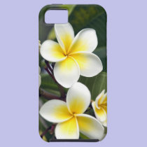 Îles Cook de fleur de Frangipani coques case-mate
