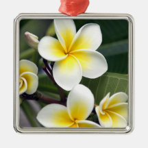 Îles Cook de fleur de Frangipani Décoration De Noël