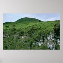 Îles de Galapagos Poster