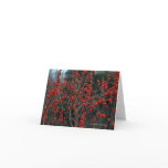 Ilex verticillata, winterberry greeting card
