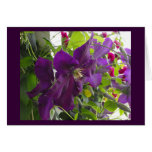 I'll be brave..Mom Greeting Cards