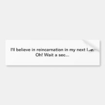 I'll believe in reincarnation - bumper sticker