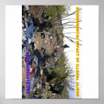 illegal-alien-trash1 posters