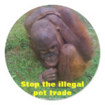 Illegal Wildlife Pet Trade Round Sticker
