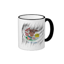 Illinois Mug