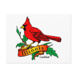 Illinois State Bird - Cardinal Postcards