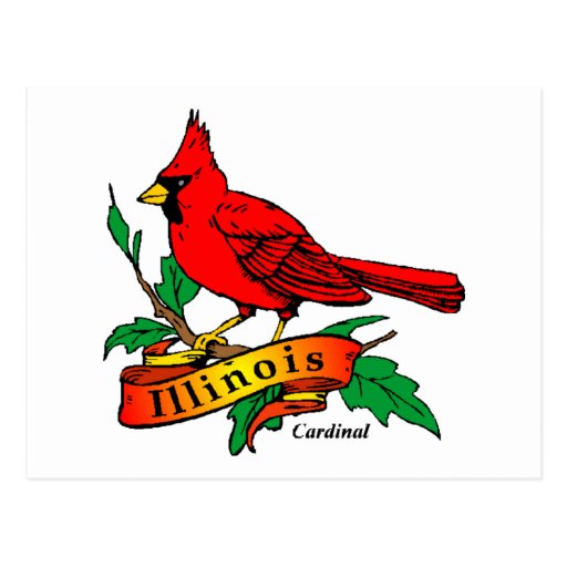 Illinois State Bird - Cardinal Postcards