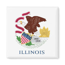 Illinois State Flag Fridge Magnet