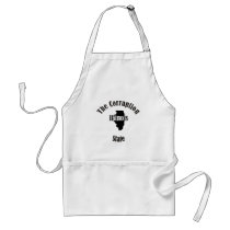 illinois the corruption state apron