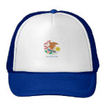 ILLINOIS TRUCKER HAT